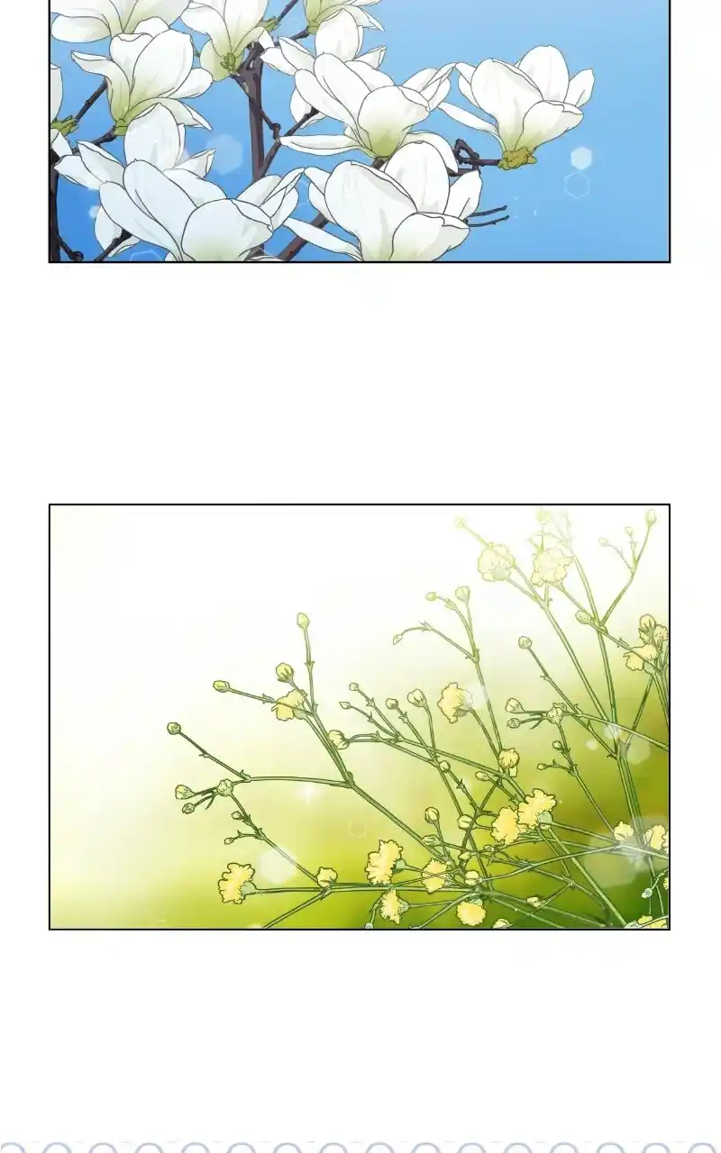 I Gave Birth to a Dog Chapter 72