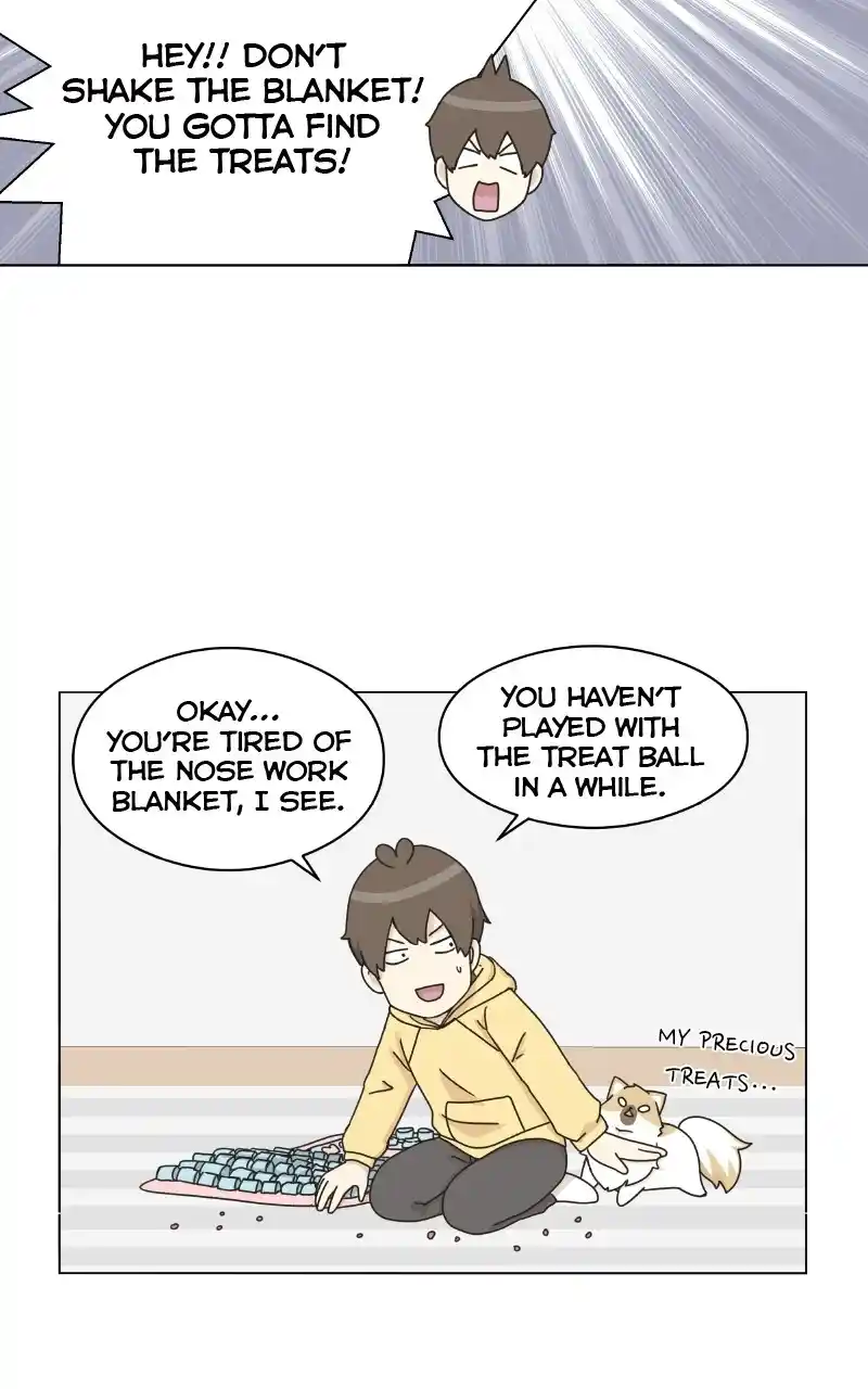 I Gave Birth to a Dog Chapter 72