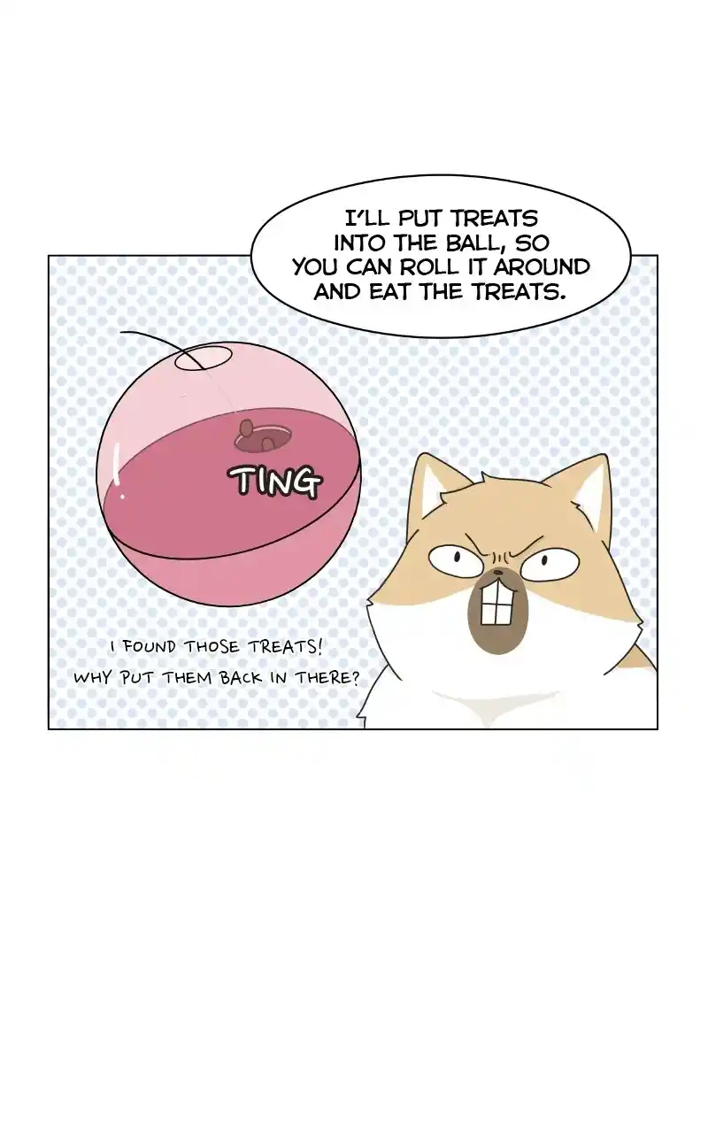 I Gave Birth to a Dog Chapter 72