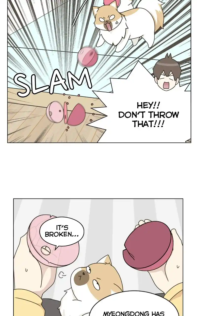 I Gave Birth to a Dog Chapter 72