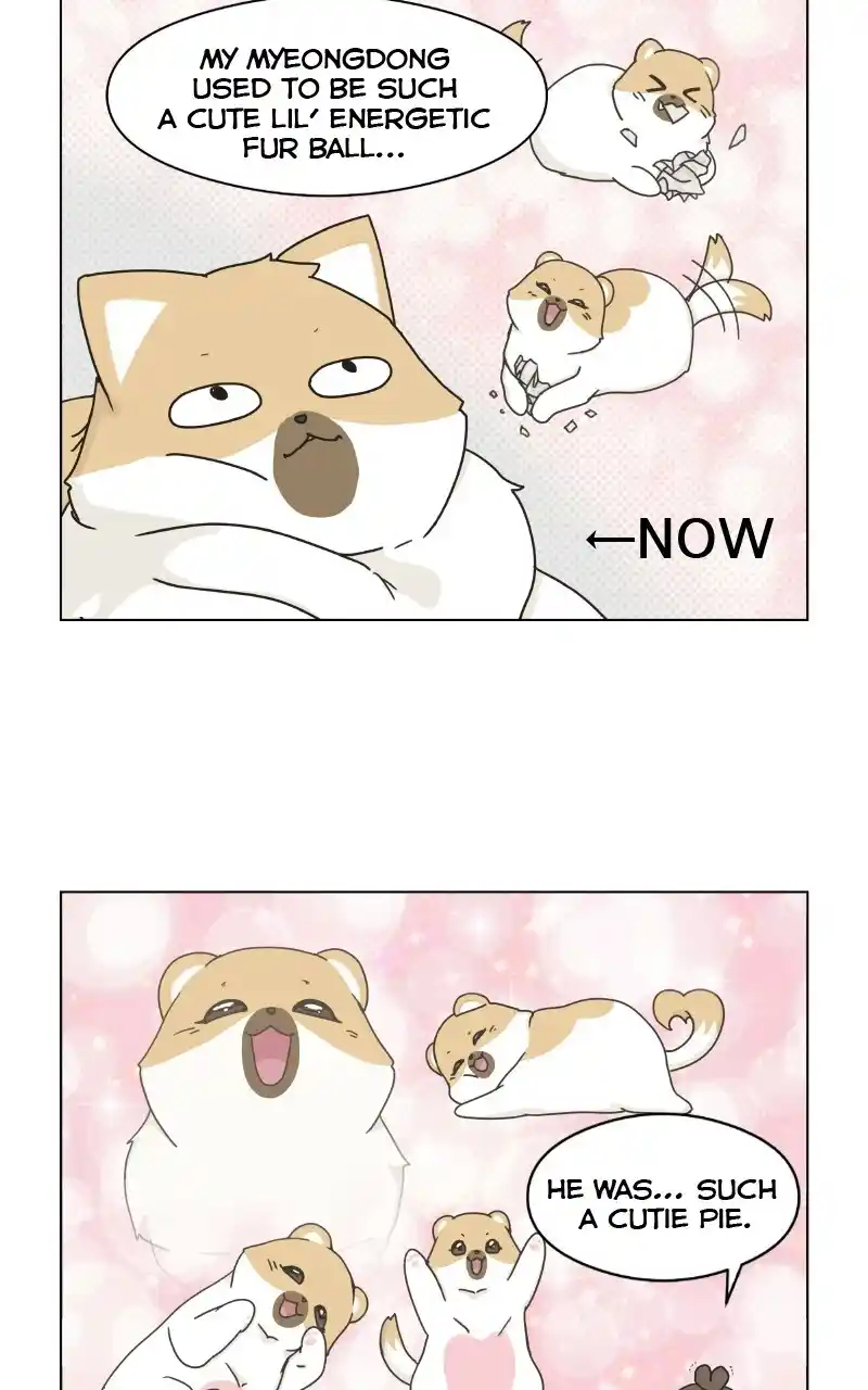 I Gave Birth to a Dog Chapter 72