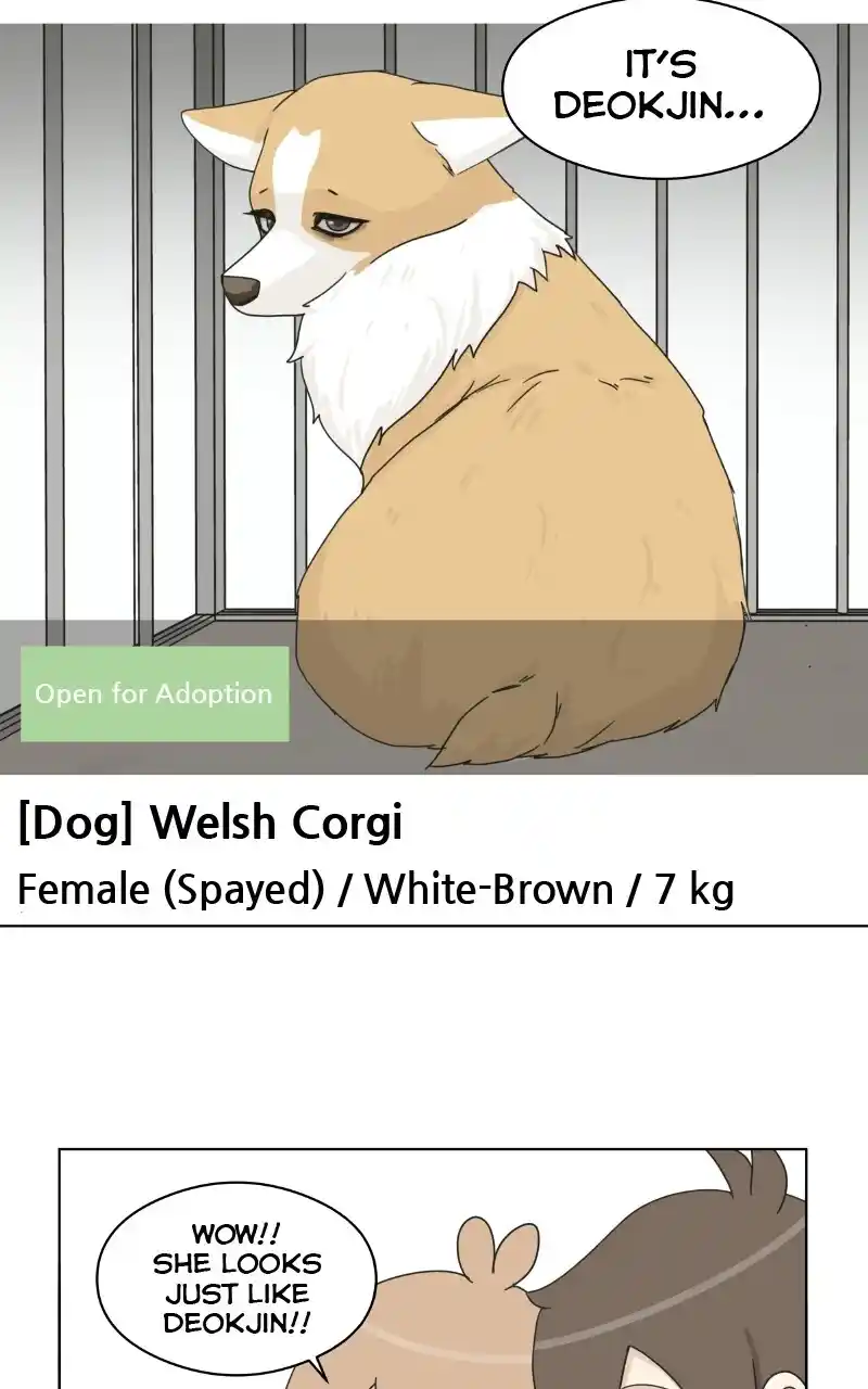 I Gave Birth to a Dog Chapter 72