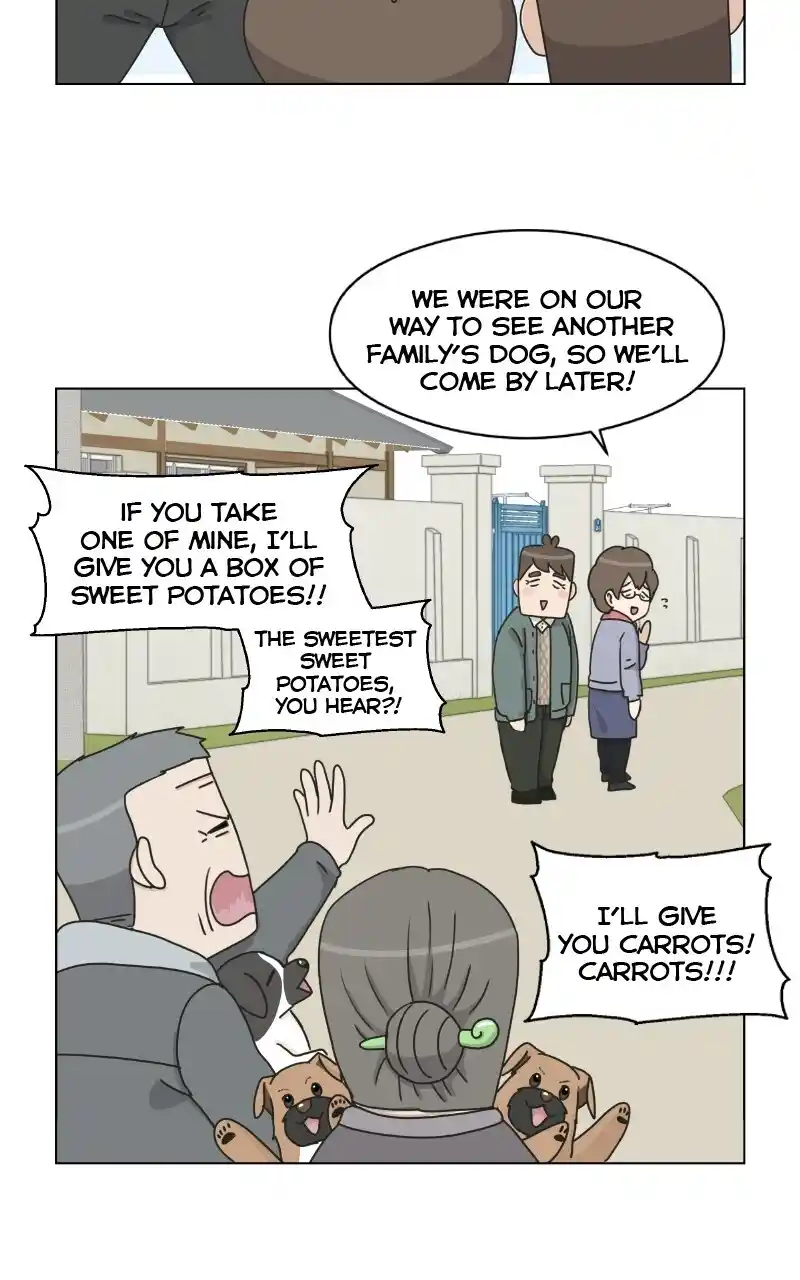 I Gave Birth to a Dog Chapter 72