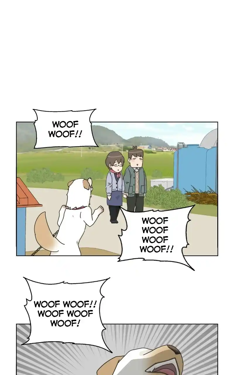I Gave Birth to a Dog Chapter 72