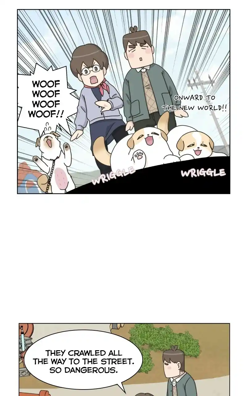 I Gave Birth to a Dog Chapter 72