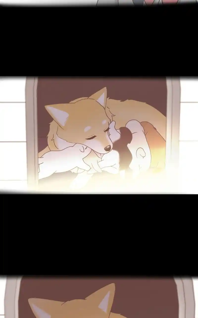 I Gave Birth to a Dog Chapter 72