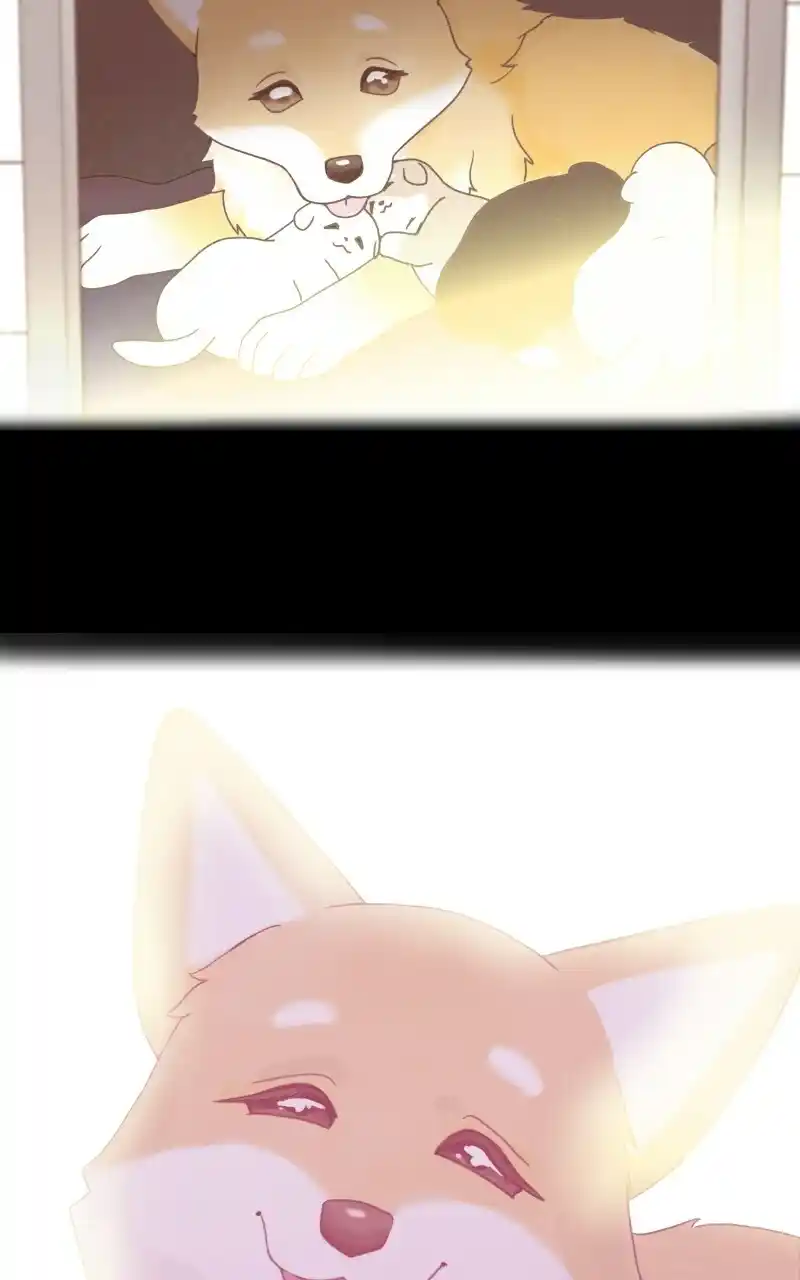 I Gave Birth to a Dog Chapter 72