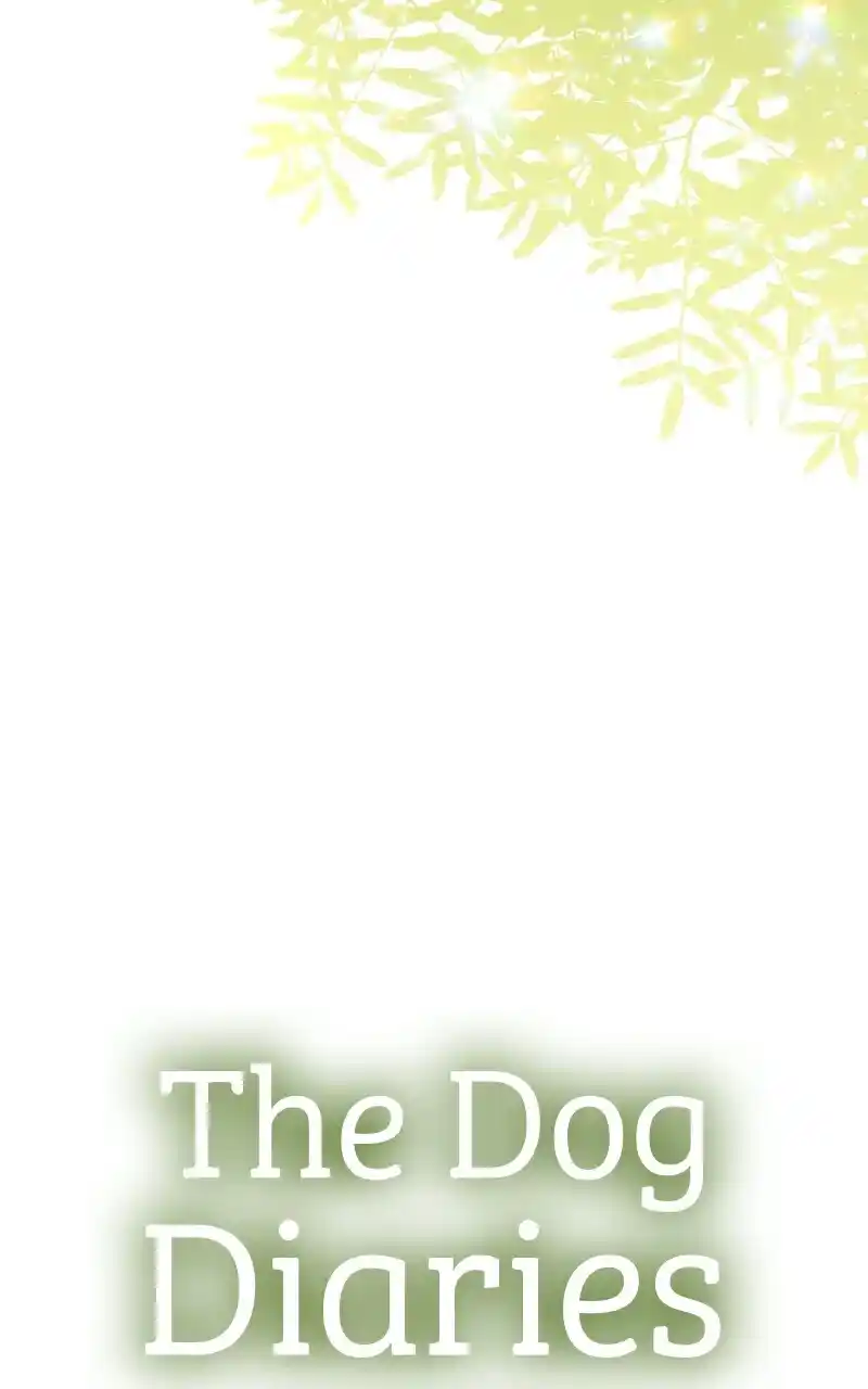 I Gave Birth to a Dog Chapter 72