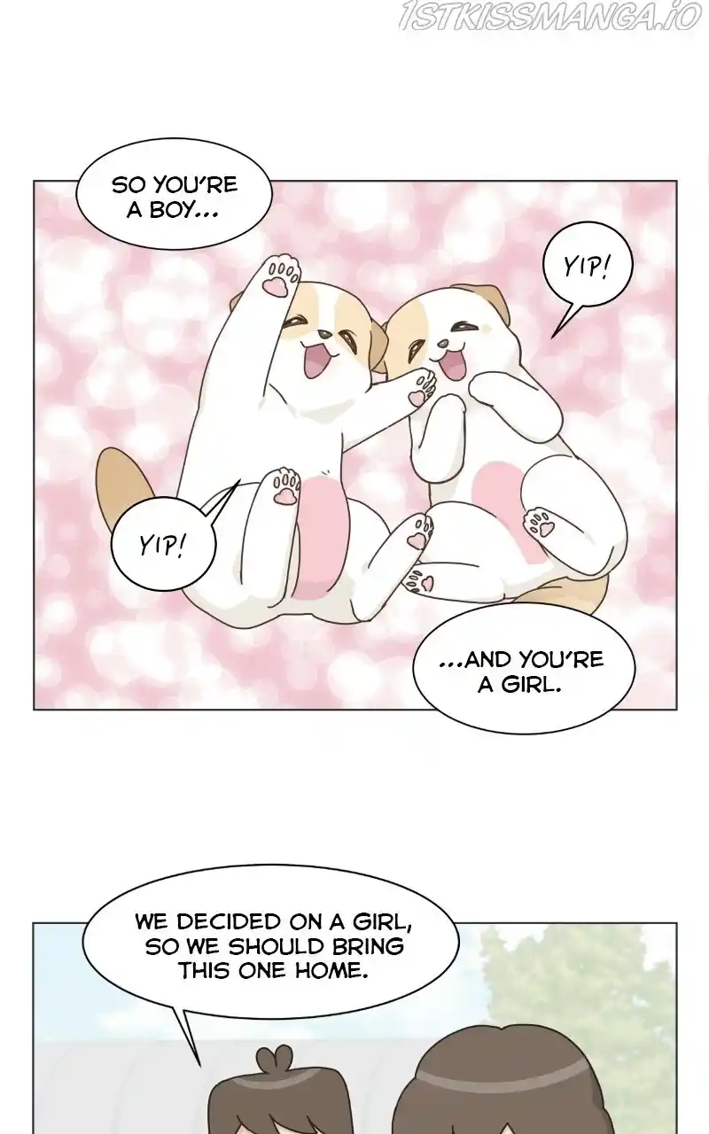 I Gave Birth to a Dog Chapter 73
