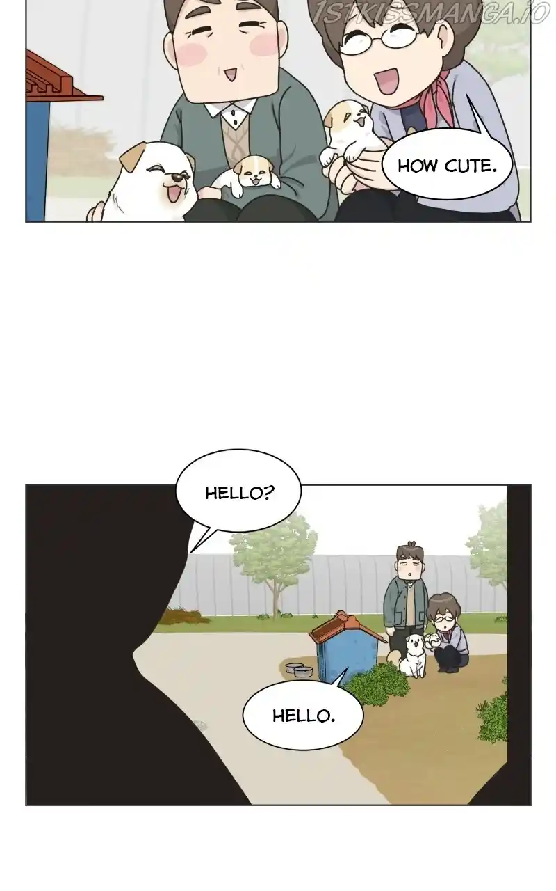 I Gave Birth to a Dog Chapter 73