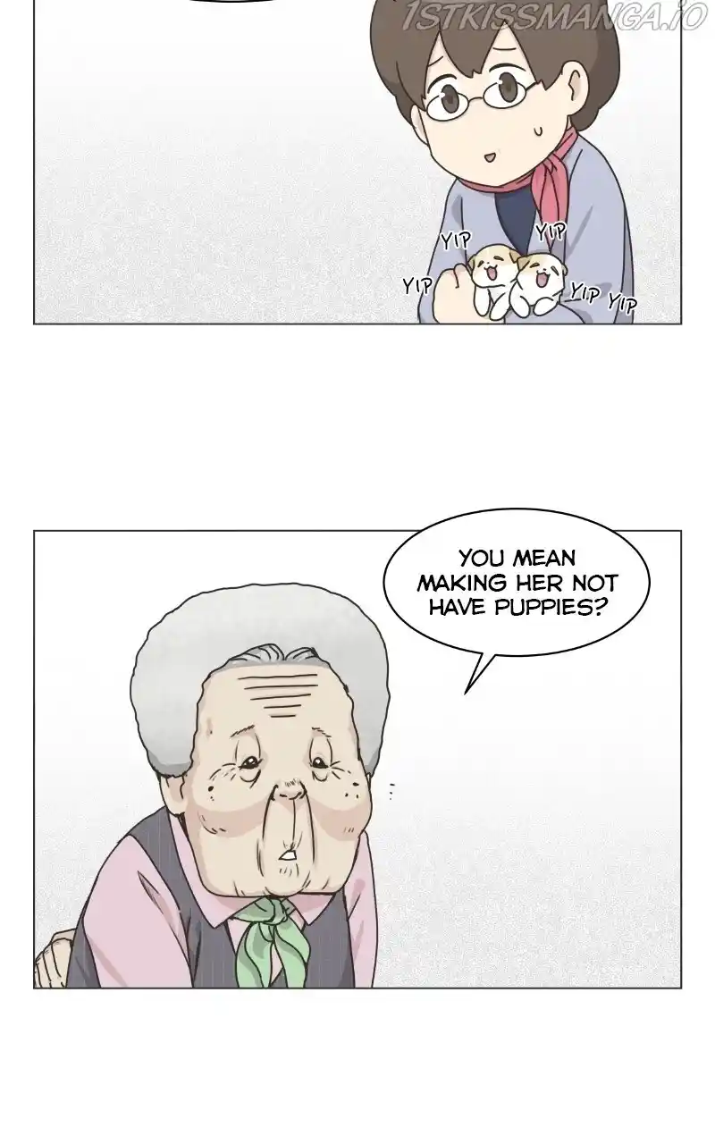 I Gave Birth to a Dog Chapter 73