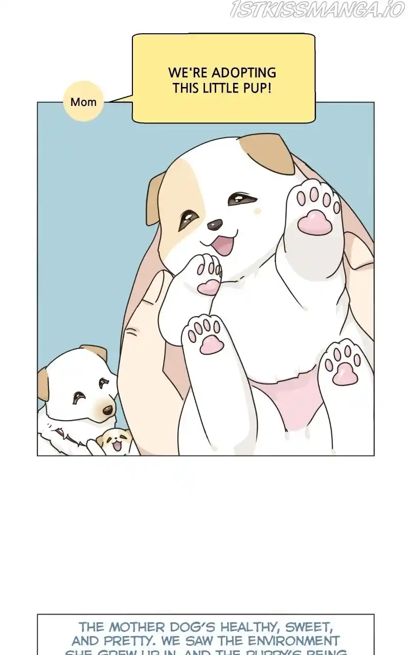 I Gave Birth to a Dog Chapter 73