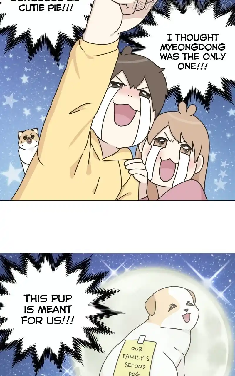 I Gave Birth to a Dog Chapter 73