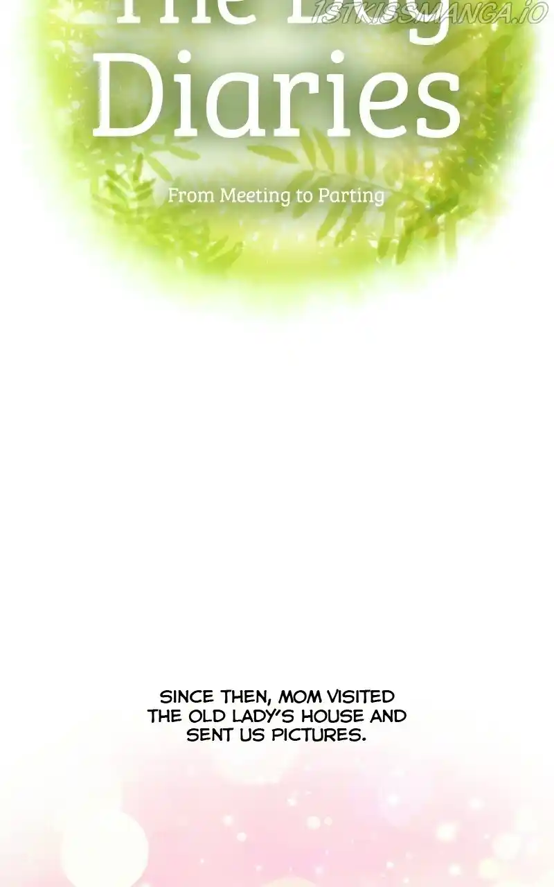 I Gave Birth to a Dog Chapter 73