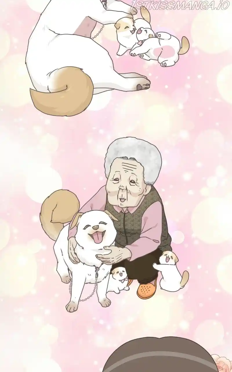 I Gave Birth to a Dog Chapter 73