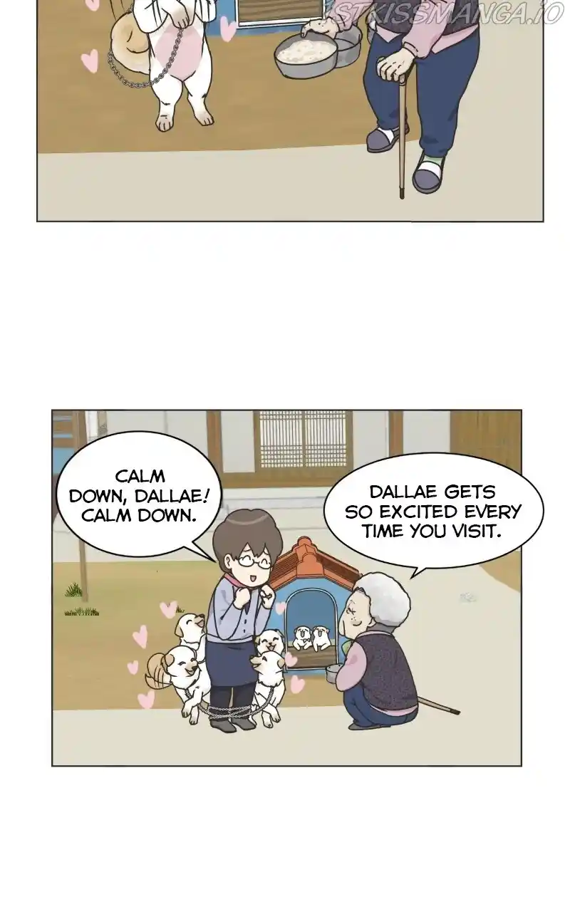 I Gave Birth to a Dog Chapter 73