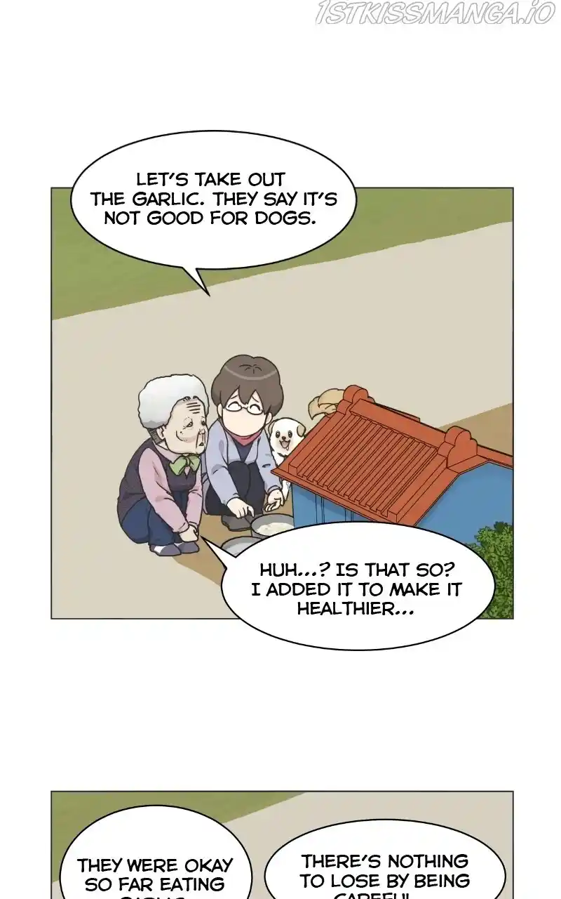 I Gave Birth to a Dog Chapter 73