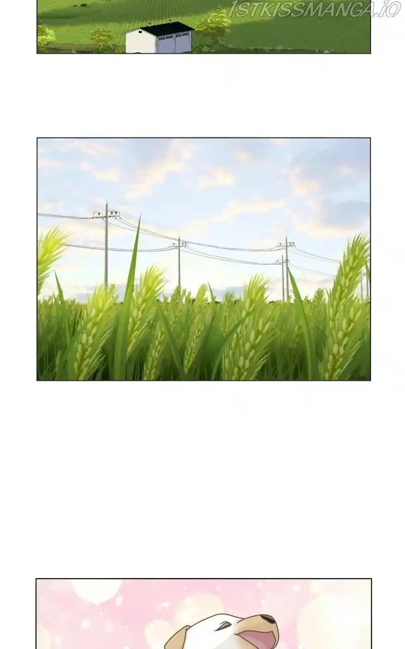 I Gave Birth to a Dog Chapter 73