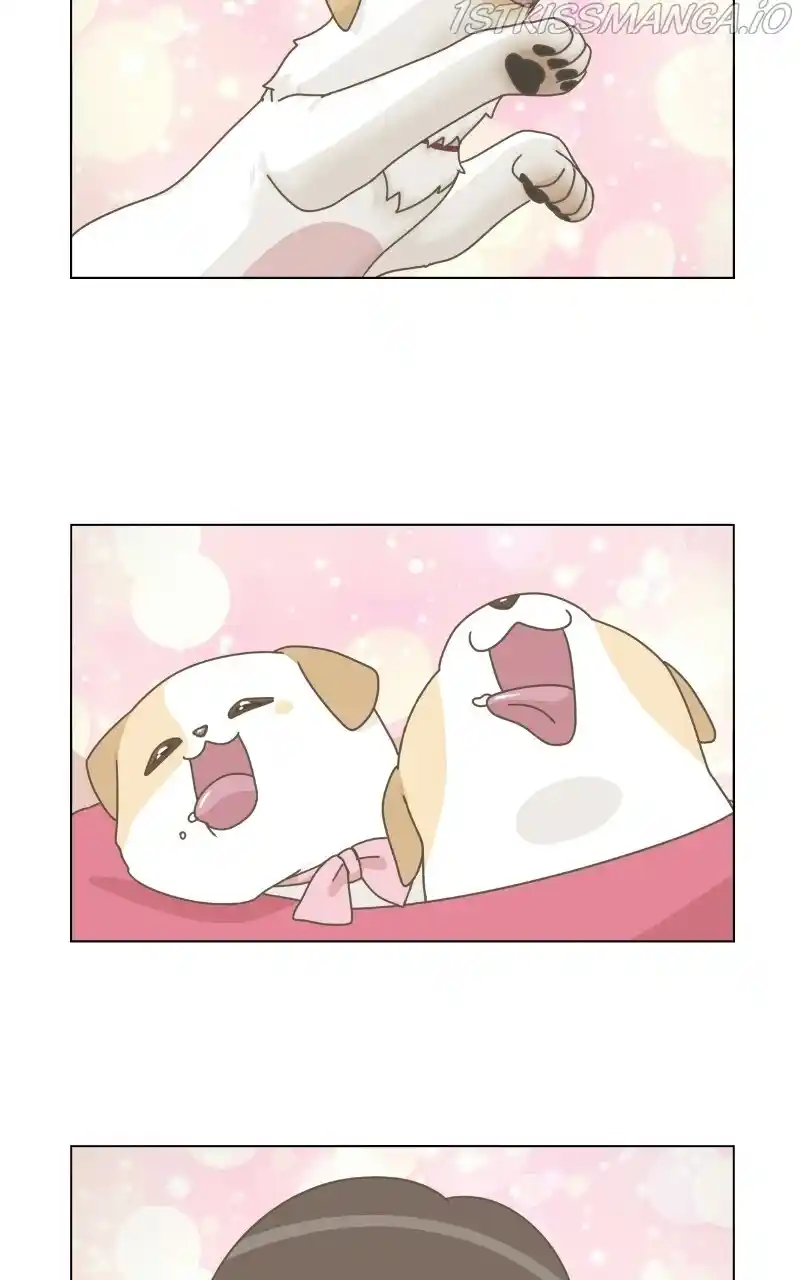 I Gave Birth to a Dog Chapter 73