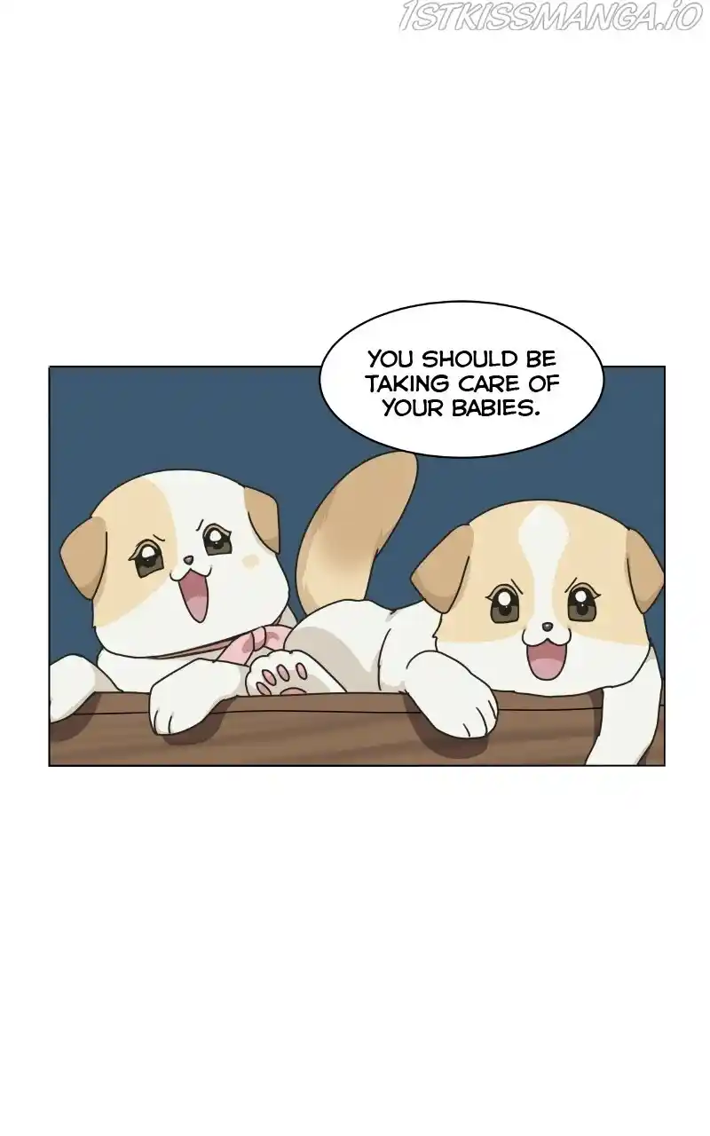 I Gave Birth to a Dog Chapter 73