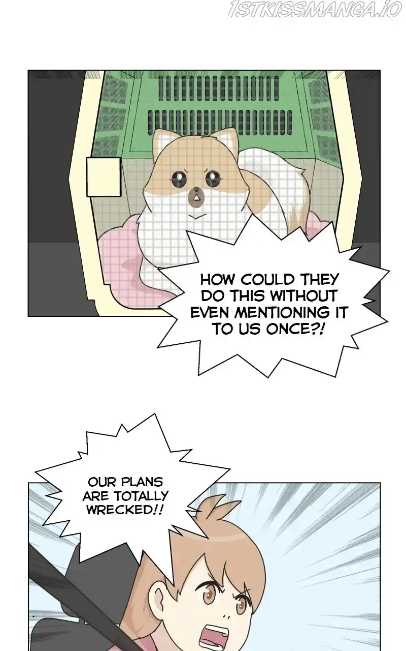 I Gave Birth to a Dog Chapter 73