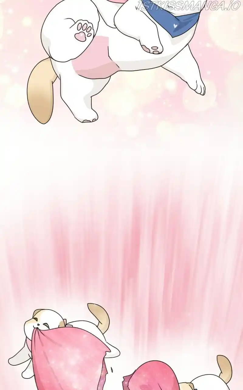 I Gave Birth to a Dog Chapter 74