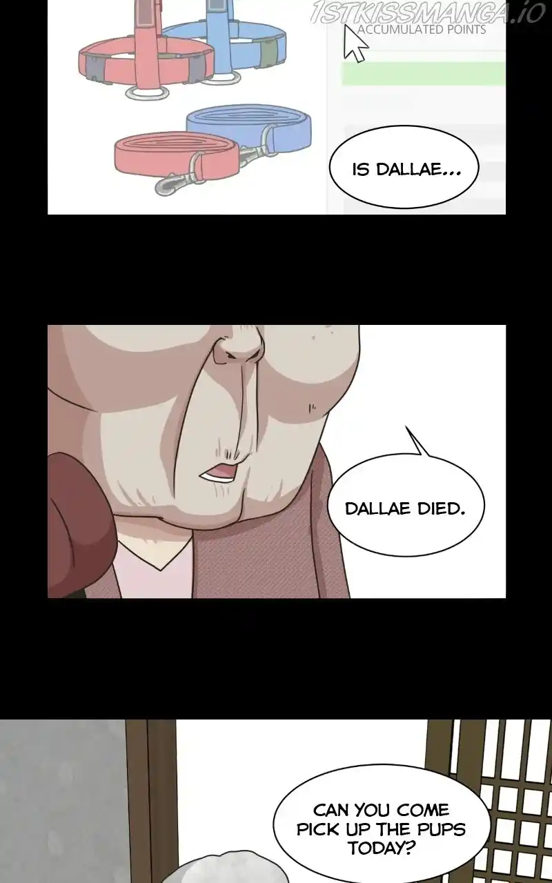 I Gave Birth to a Dog Chapter 74