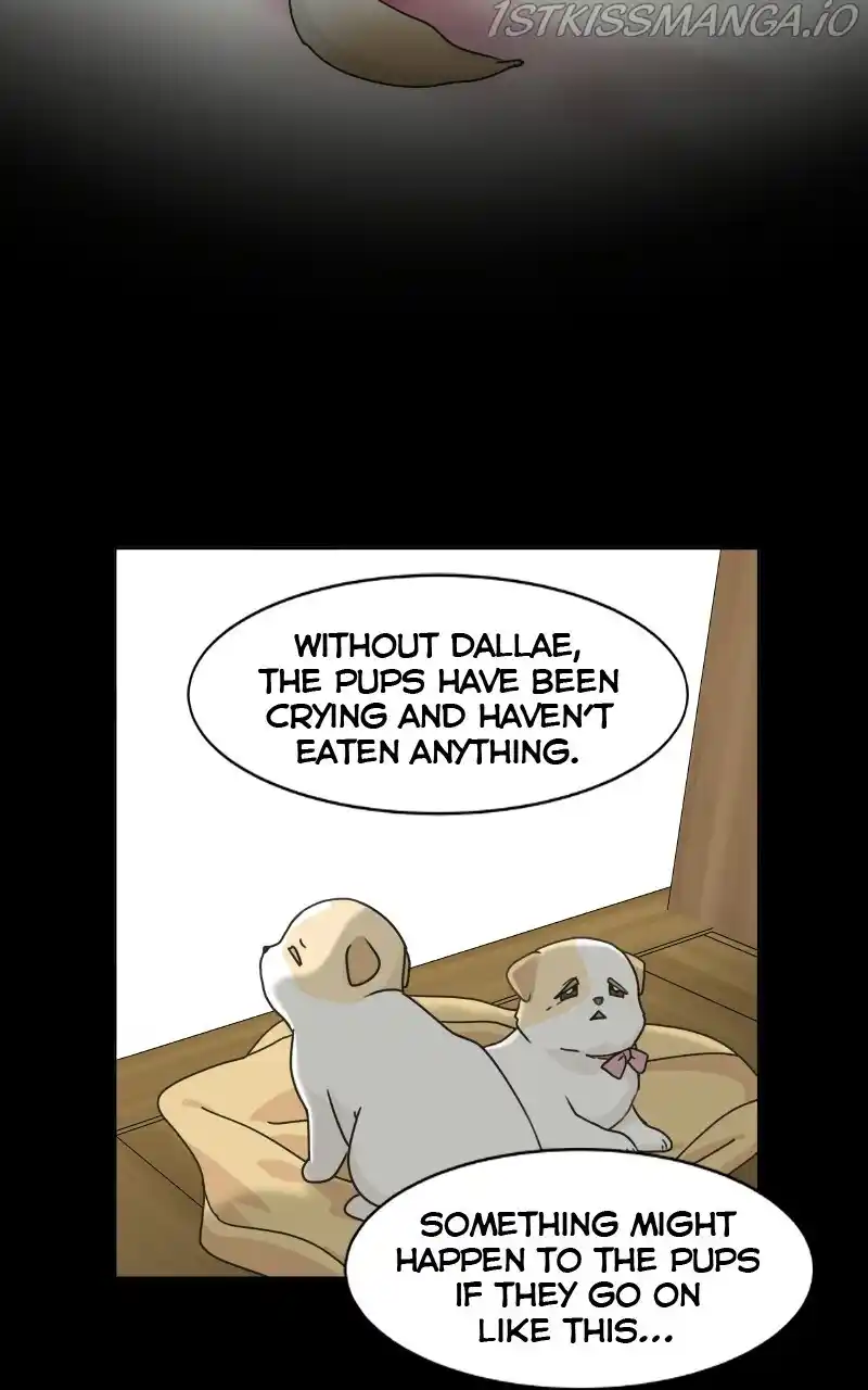 I Gave Birth to a Dog Chapter 74