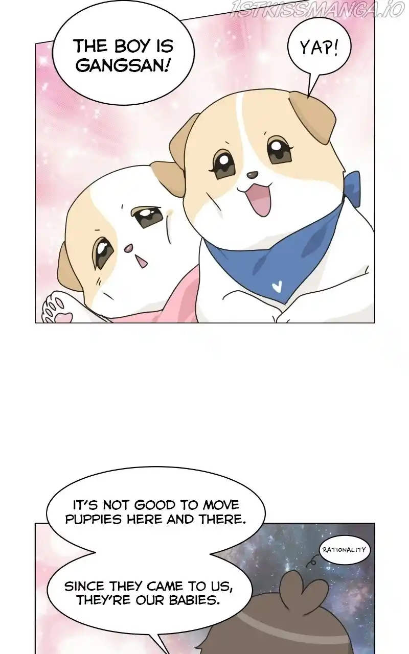 I Gave Birth to a Dog Chapter 74