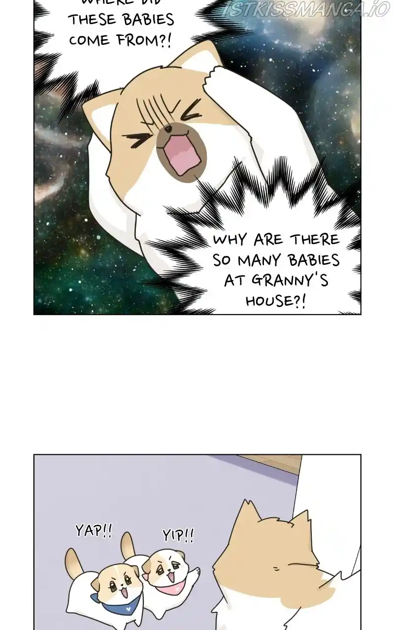 I Gave Birth to a Dog Chapter 74