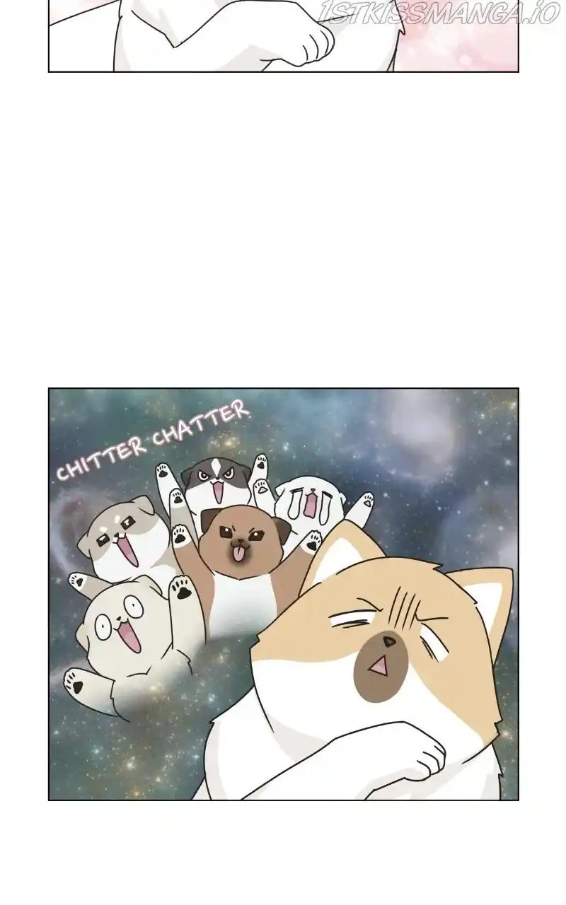 I Gave Birth to a Dog Chapter 74