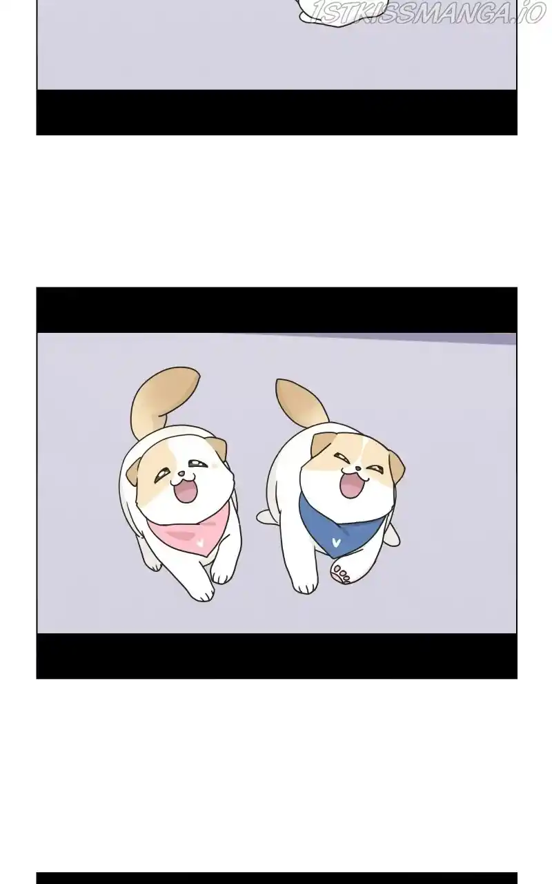 I Gave Birth to a Dog Chapter 75