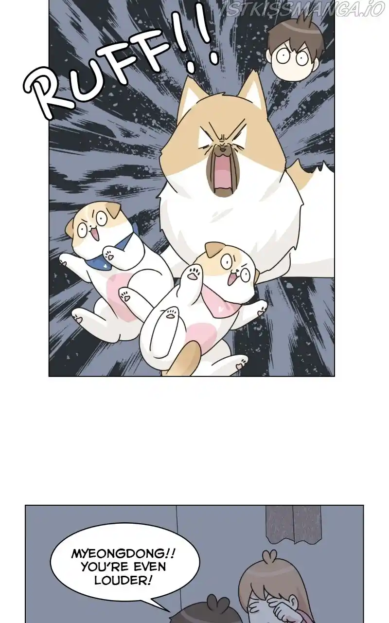 I Gave Birth to a Dog Chapter 75