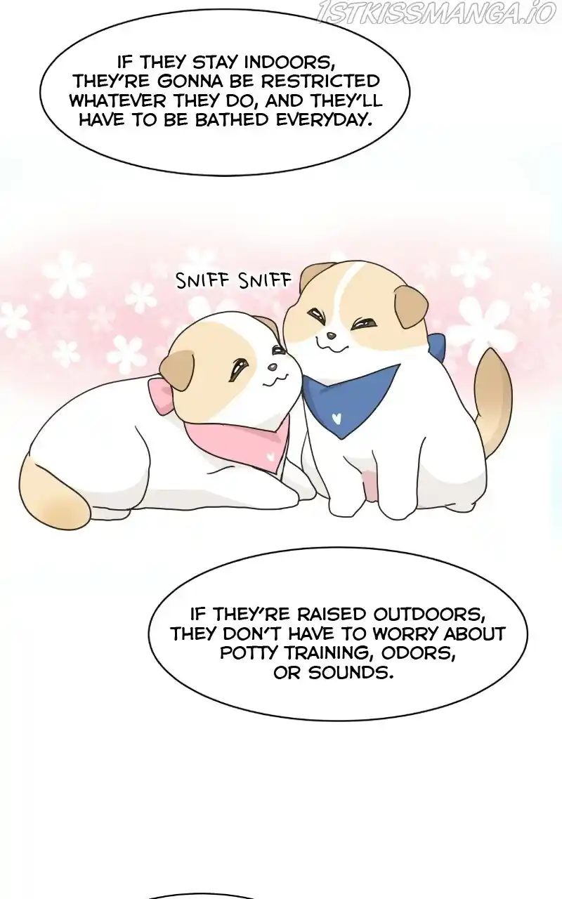 I Gave Birth to a Dog Chapter 75