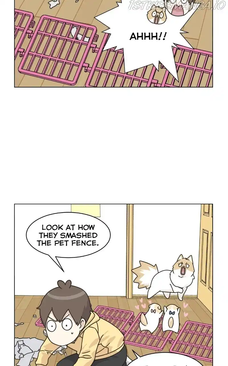 I Gave Birth to a Dog Chapter 75