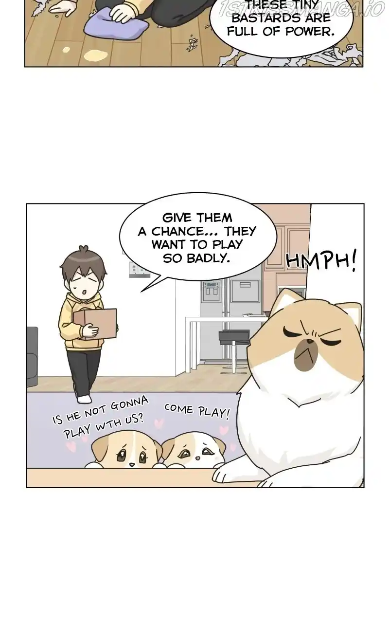 I Gave Birth to a Dog Chapter 75