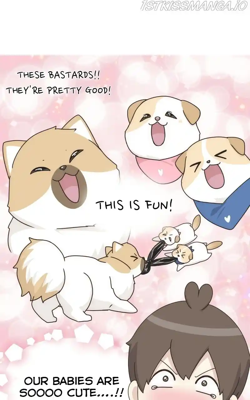 I Gave Birth to a Dog Chapter 75