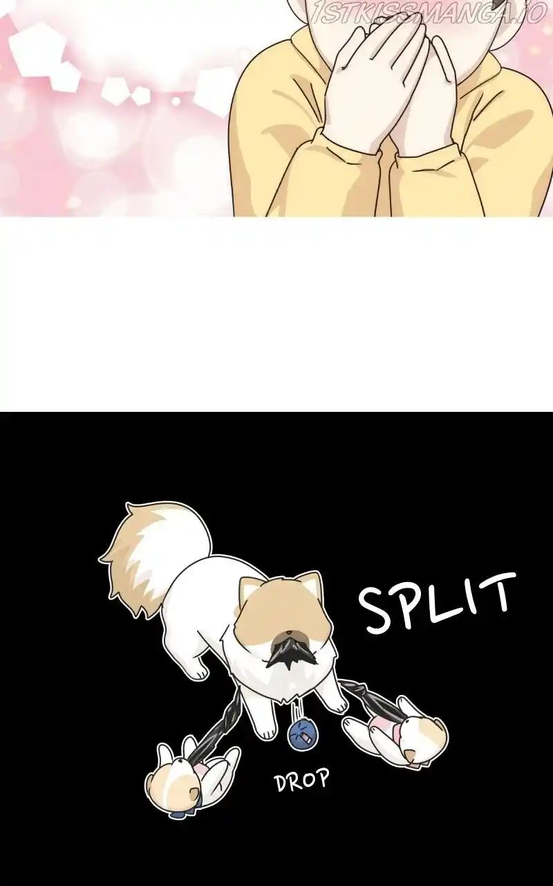 I Gave Birth to a Dog Chapter 75