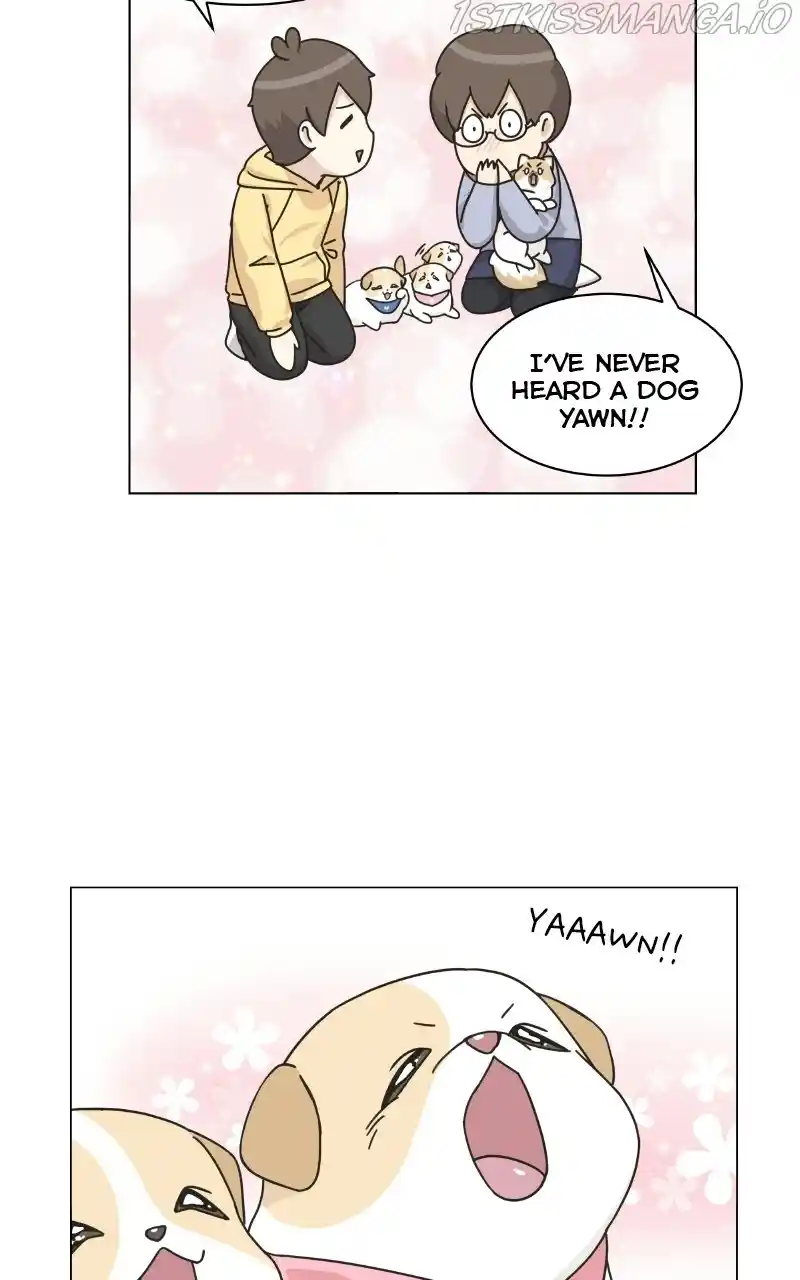 I Gave Birth to a Dog Chapter 75