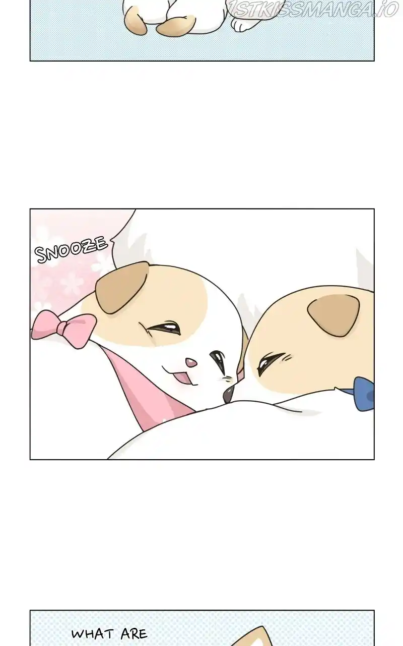 I Gave Birth to a Dog Chapter 75