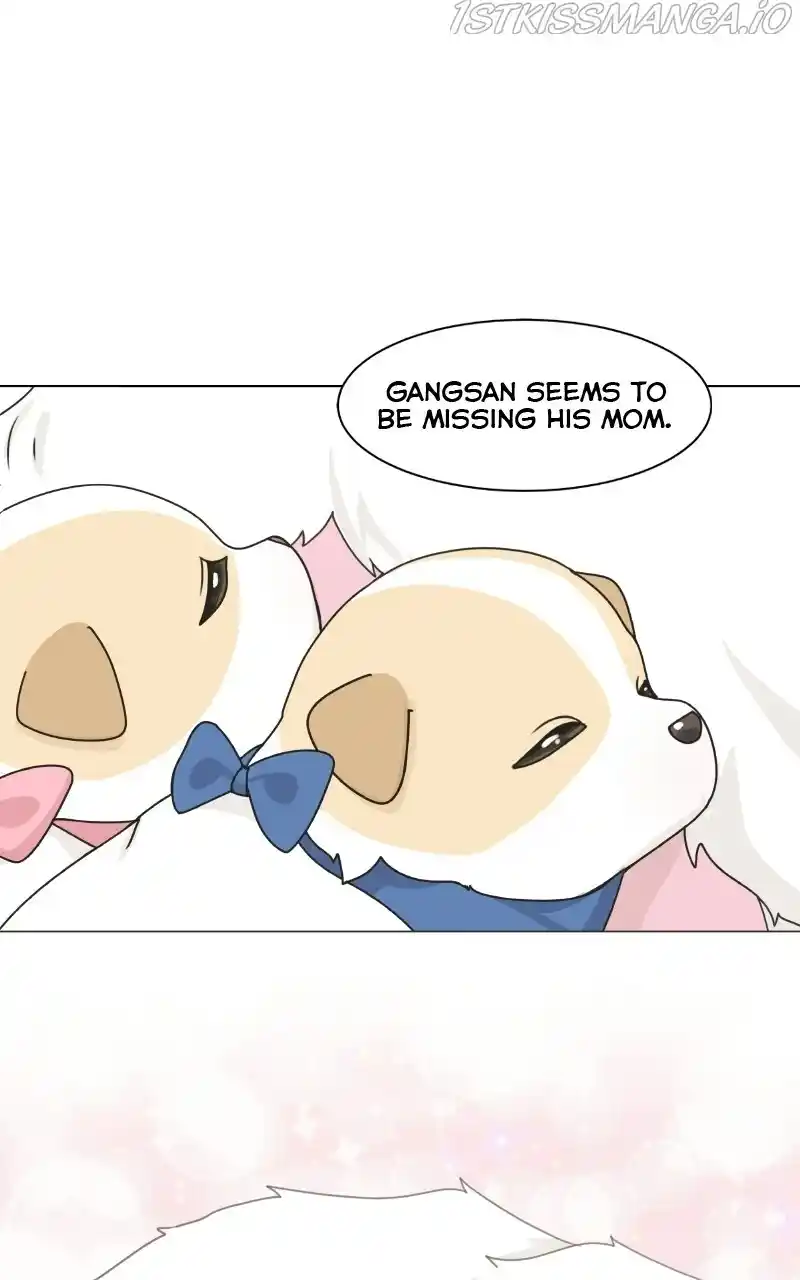 I Gave Birth to a Dog Chapter 75