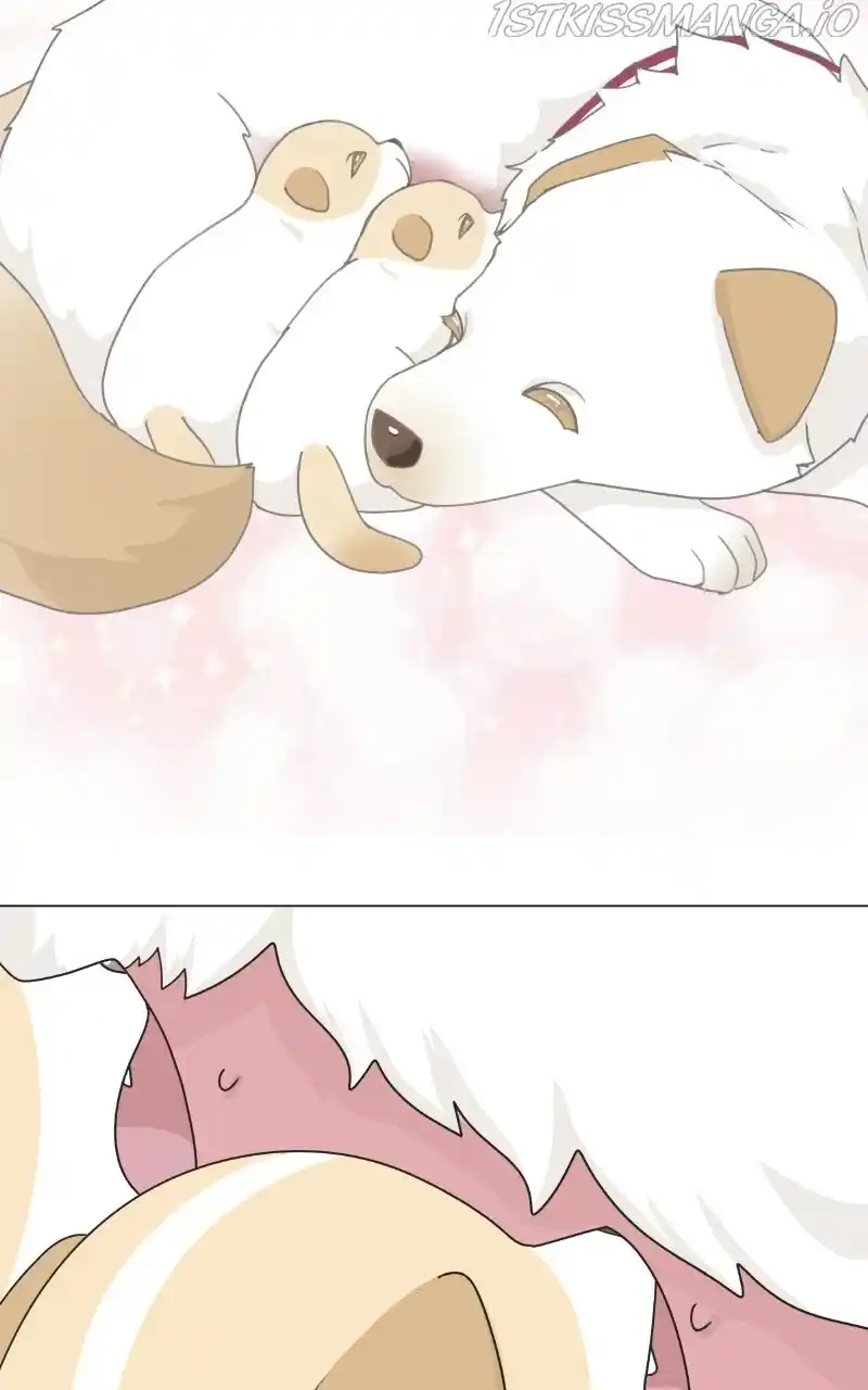 I Gave Birth to a Dog Chapter 75