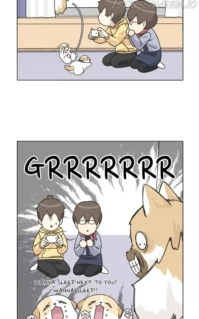 I Gave Birth to a Dog Chapter 75