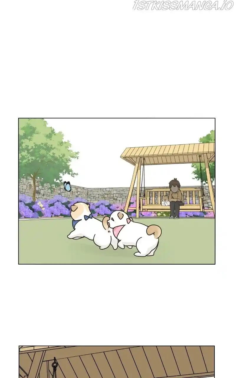 I Gave Birth to a Dog Chapter 76