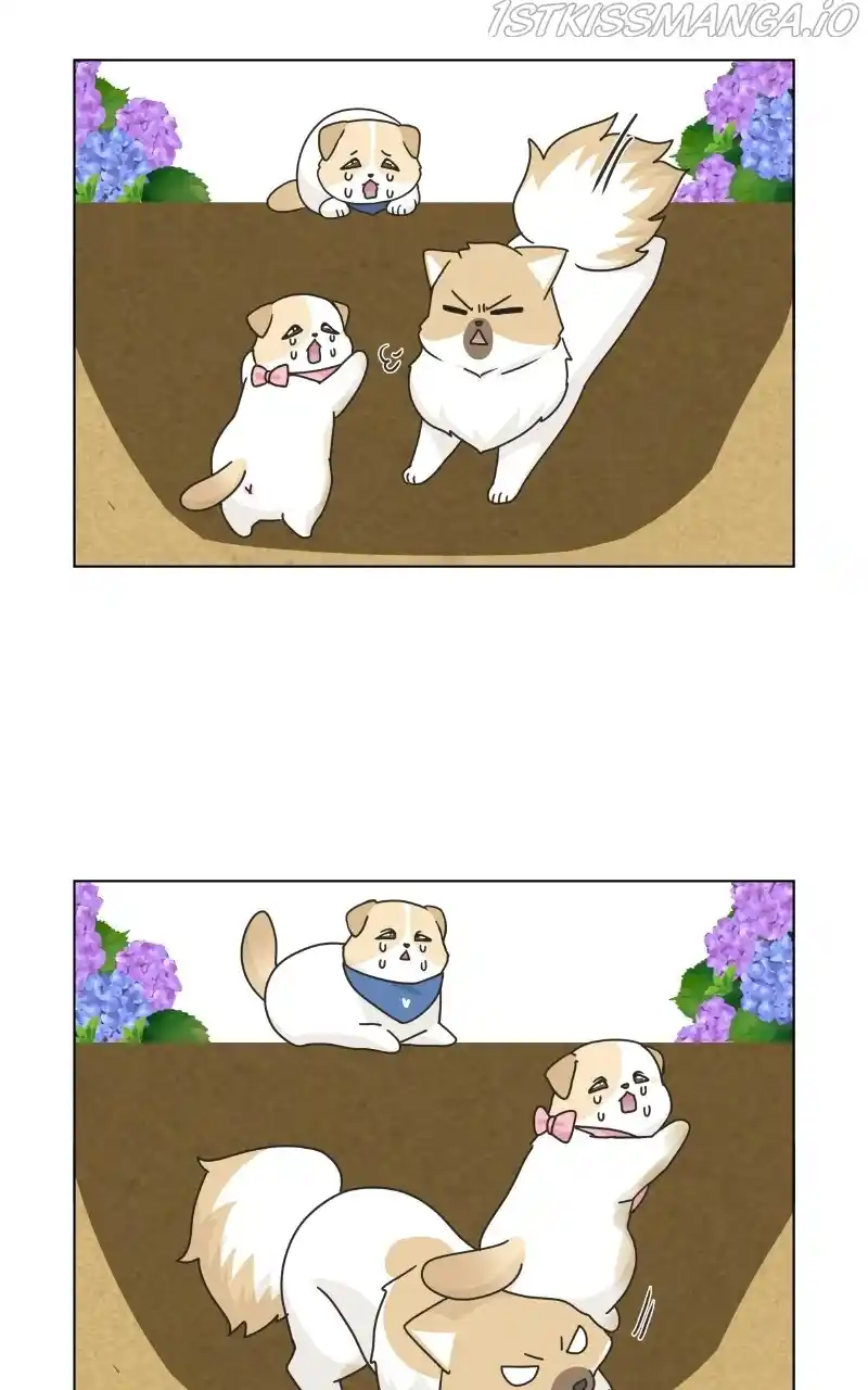 I Gave Birth to a Dog Chapter 76