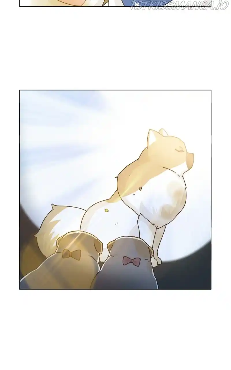 I Gave Birth to a Dog Chapter 76