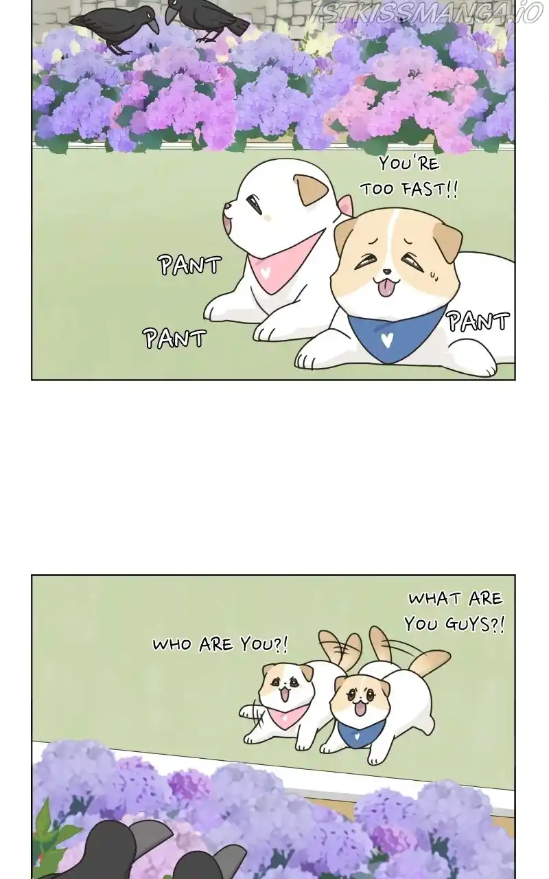 I Gave Birth to a Dog Chapter 76