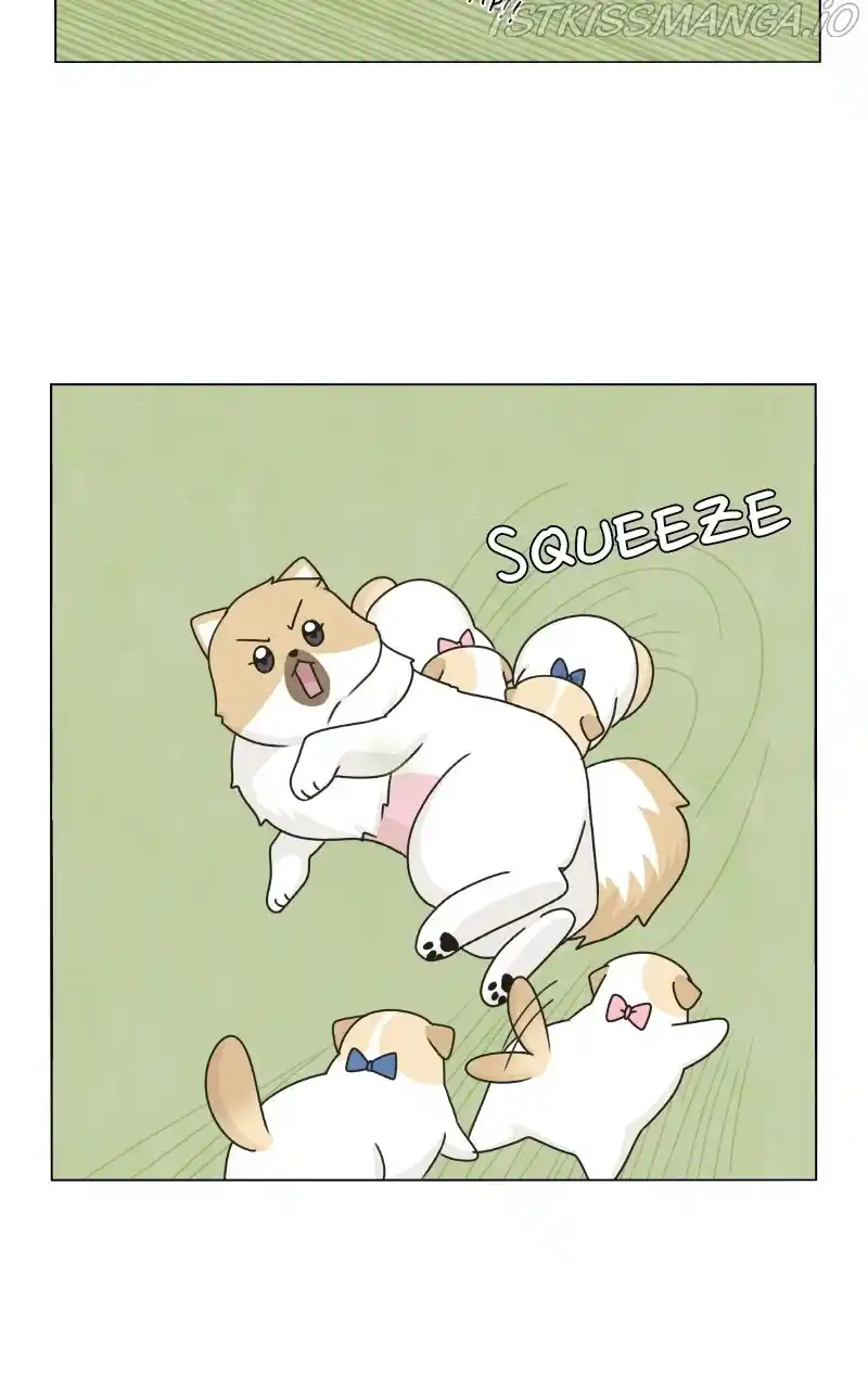 I Gave Birth to a Dog Chapter 76