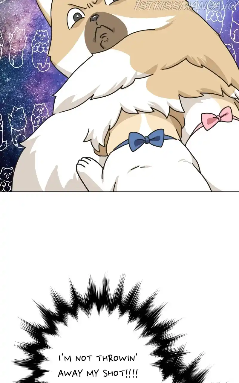 I Gave Birth to a Dog Chapter 76