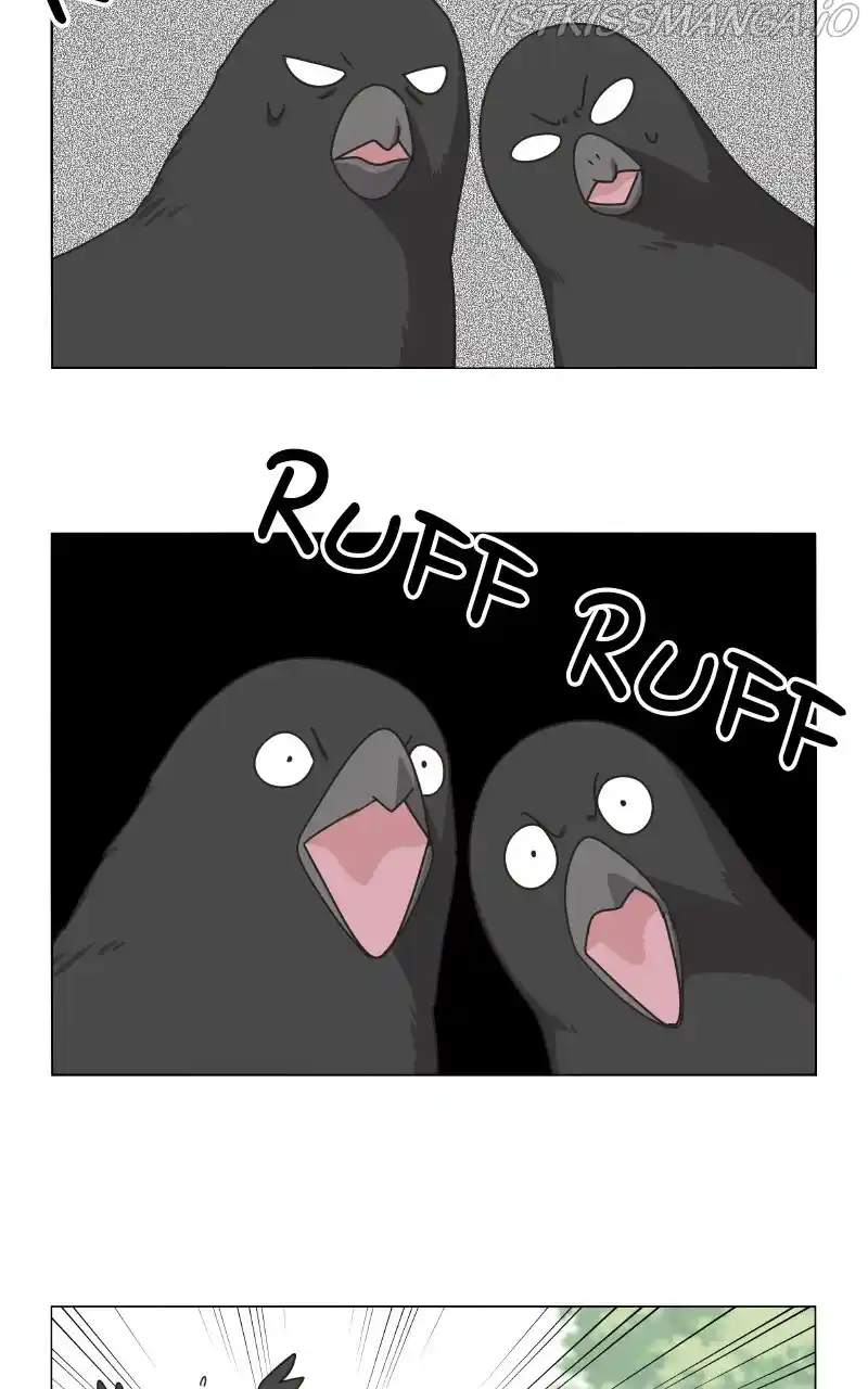 I Gave Birth to a Dog Chapter 76